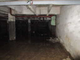 Merina 04
